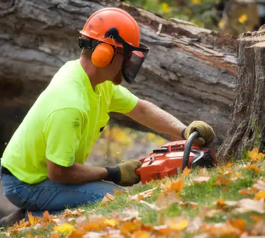 tree services Garfield Heights